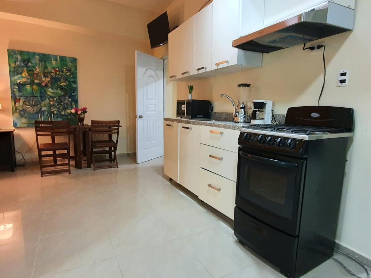 Apartamentos Roman サントドミンゴ エクステリア 写真